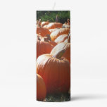 Pumpkins Photo for Fall, Halloween or Thanksgiving Pillar Candle