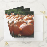 Pumpkins Photo for Fall, Halloween or Thanksgiving Pocket Folder