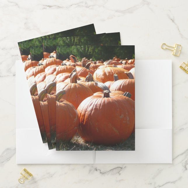 Pumpkins Photo for Fall, Halloween or Thanksgiving Pocket Folder (In Situ)