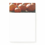 Pumpkins Photo for Fall, Halloween or Thanksgiving Post-it Notes