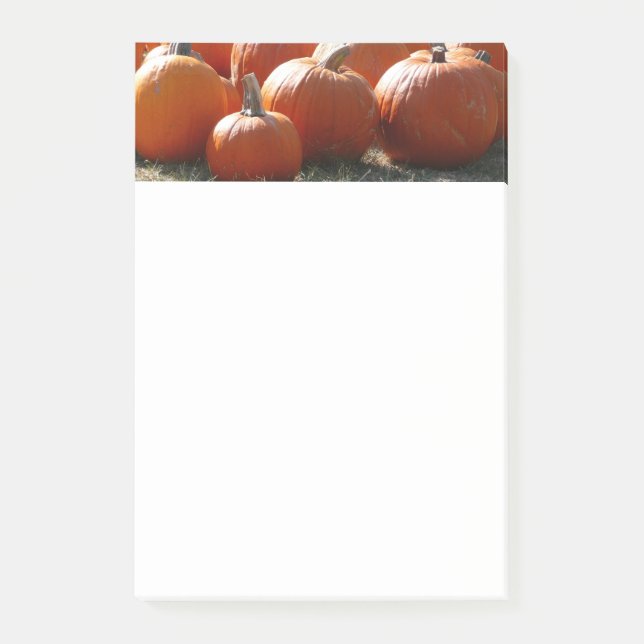 Pumpkins Photo for Fall, Halloween or Thanksgiving Post-it Notes (Front)