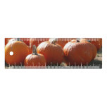 Pumpkins Photo for Fall, Halloween or Thanksgiving Ruler