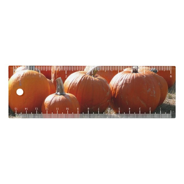 Pumpkins Photo for Fall, Halloween or Thanksgiving Ruler (Front)
