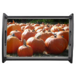 Pumpkins Photo for Fall, Halloween or Thanksgiving Serving Tray