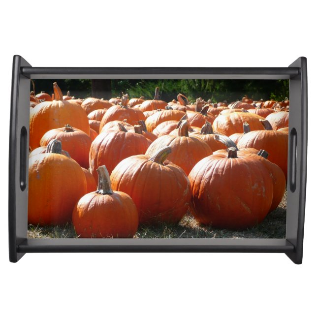 Pumpkins Photo for Fall, Halloween or Thanksgiving Serving Tray (Front)