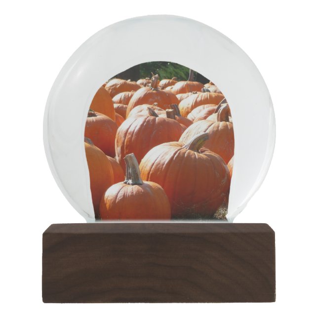 Pumpkins Photo for Fall, Halloween or Thanksgiving Snow Globe (Front)