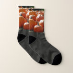Pumpkins Photo for Fall, Halloween or Thanksgiving Socks