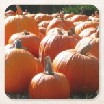 Pumpkins Photo for Fall, Halloween or Thanksgiving Square Paper Coaster