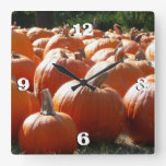 Pumpkins Photo for Fall, Halloween or Thanksgiving Square Wall Clock