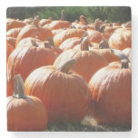 Pumpkins Photo for Fall, Halloween or Thanksgiving Stone Coaster