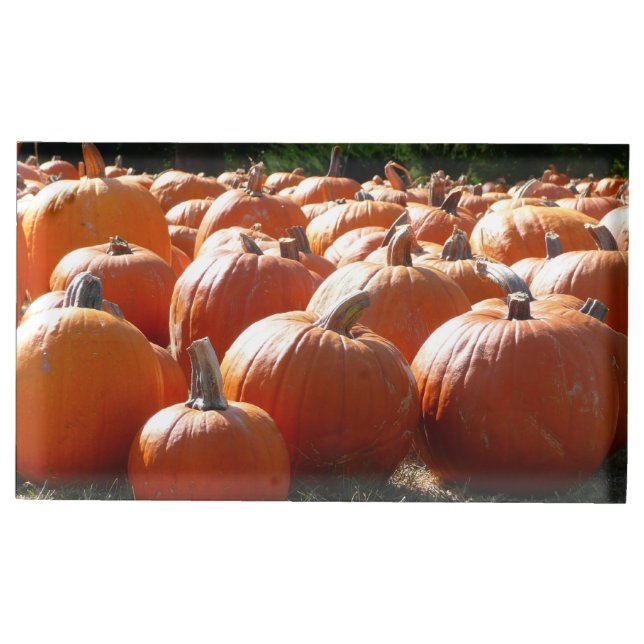 Pumpkins Photo for Fall, Halloween or Thanksgiving Table Number Holder (Front)