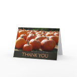 Pumpkins Photo for Fall, Halloween or Thanksgiving Thank You Card