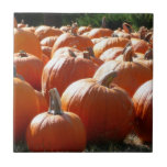 Pumpkins Photo for Fall, Halloween or Thanksgiving Tile
