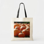 Pumpkins Photo for Fall, Halloween or Thanksgiving Tote Bag