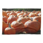 Pumpkins Photo for Fall, Halloween or Thanksgiving Towel