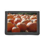 Pumpkins Photo for Fall, Halloween or Thanksgiving Trifold Wallet