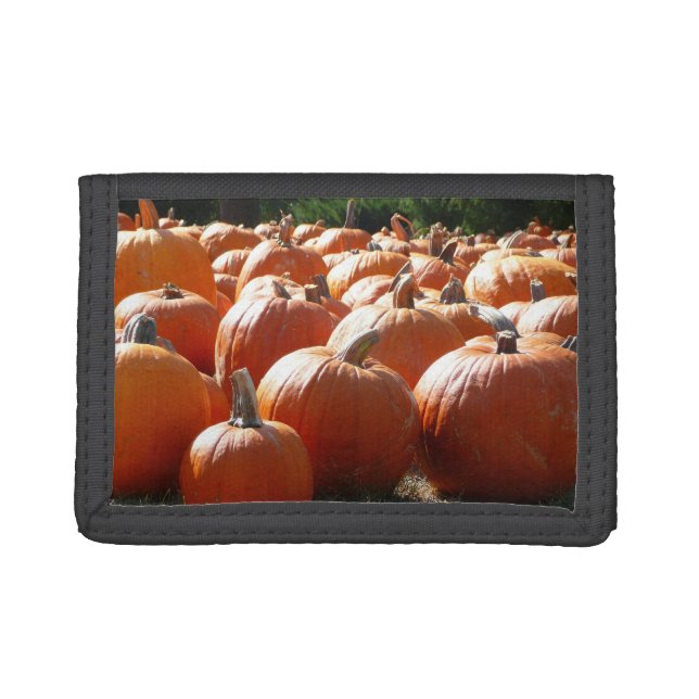 Pumpkins Photo for Fall, Halloween or Thanksgiving Trifold Wallet (Front)