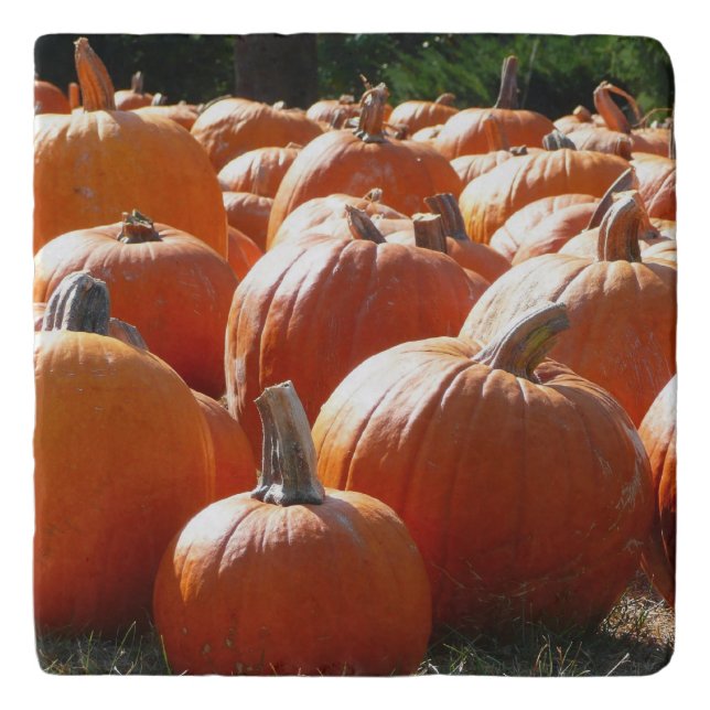 Pumpkins Photo for Fall, Halloween or Thanksgiving Trivet (Front)