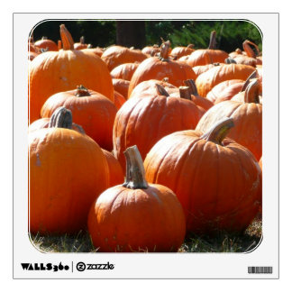 Pumpkins Photo for Fall, Halloween or Thanksgiving Wall Sticker