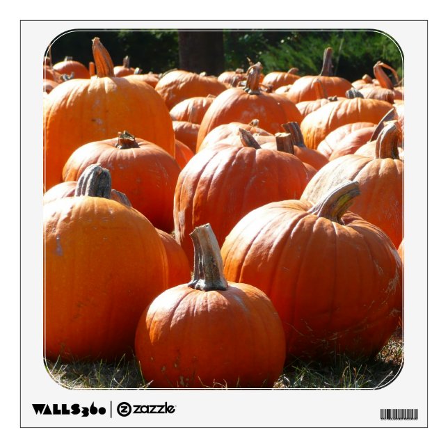 Pumpkins Photo for Fall, Halloween or Thanksgiving Wall Sticker (Front)