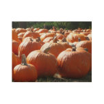 Pumpkins Photo for Fall, Halloween or Thanksgiving Wood Poster