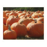 Pumpkins Photo for Fall, Halloween or Thanksgiving Wood Wall Art