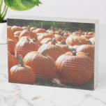 Pumpkins Photo for Fall, Halloween or Thanksgiving Wooden Box Sign