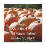 Pumpkins Photo for Fall Save the Date
