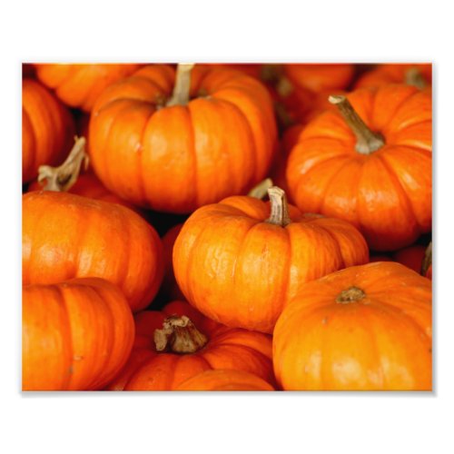 Pumpkins Photo Print