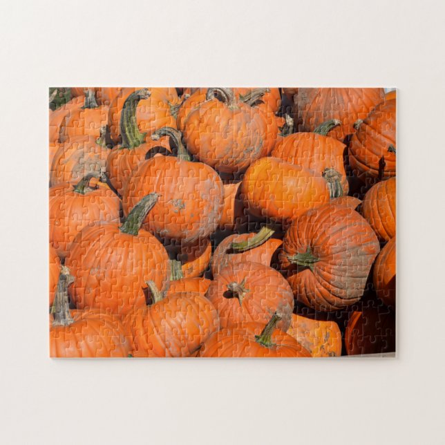 Pumpkins, Pumpkins, Pumpkins - 11x14 - 252 pcs. Jigsaw Puzzle (Horizontal)