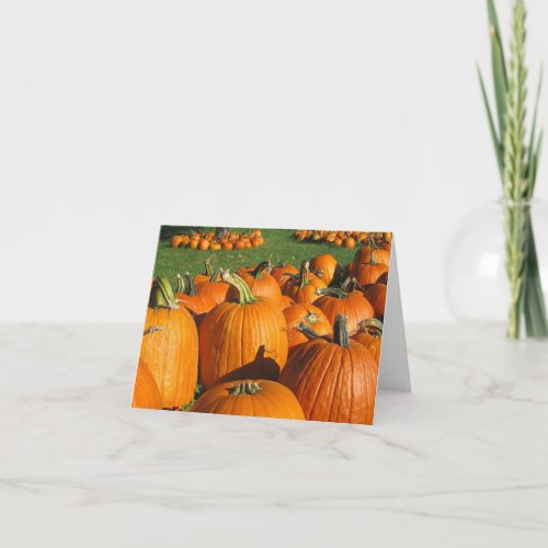 Pumpkins Roca Berry Farm card  4