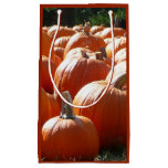 Pumpkins Small Gift Bag