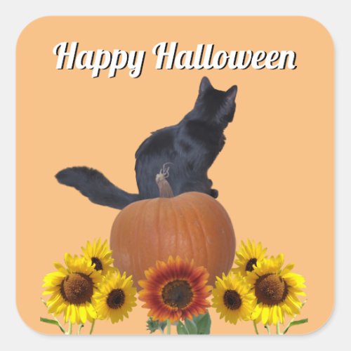 Pumpkins Sunflowers Black Cat Halloween Orange   Square Sticker