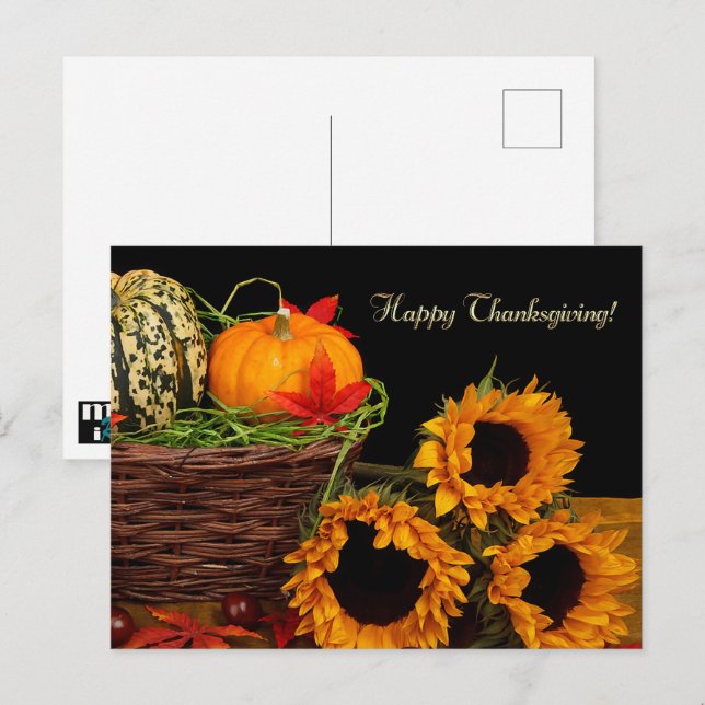 Pumpkins & Sunflowers Thanksgiving Postcards (Front/Back)