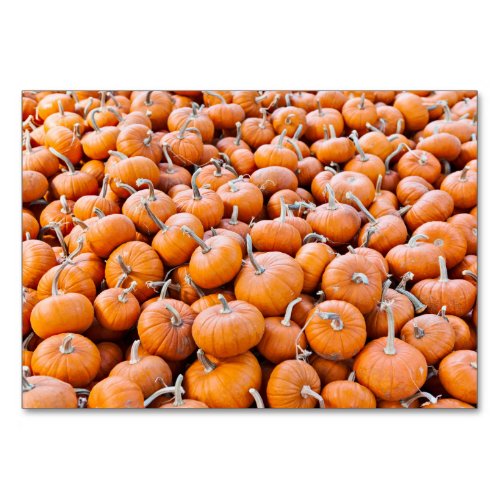 Pumpkins Table Number