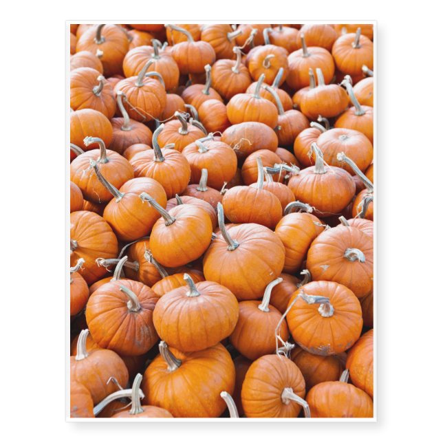 Pumpkins Temporary Tattoos (Front)