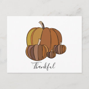 Pumpkins Thanksgiving  Postcard