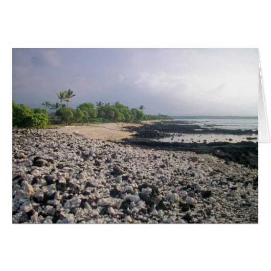 Punalu'u Black Sand Beach Cards (Front Horizontal)