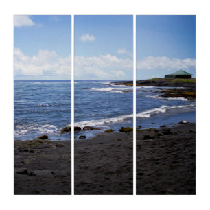 Punalu'u Black Sand Beach Hawaii Triptych