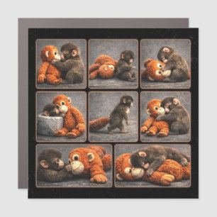 Punch Baby Monkey Car Magnet