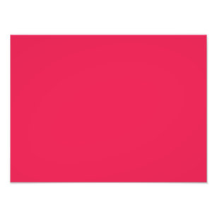 Hot Pink Color Background Posters Photo Prints Zazzle Punch Hot Pink Personalized Trend Color Background Photo Print