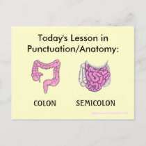 Punctuation/Anatomy Lesson postcard