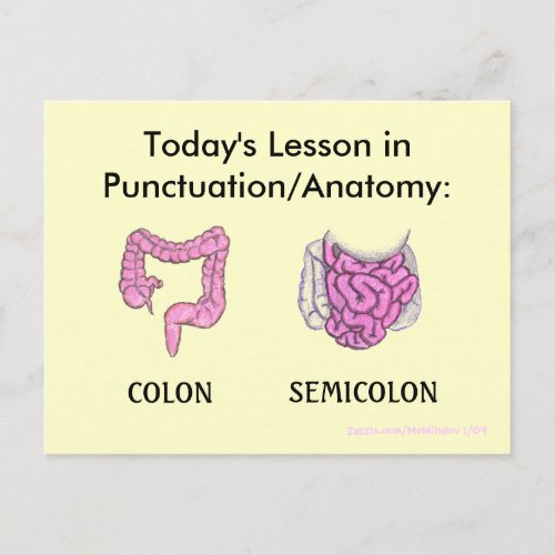 PunctuationAnatomy Lesson postcard
