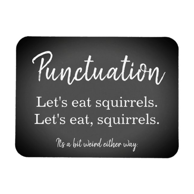 Punctuation Funny Magnet (Horizontal)