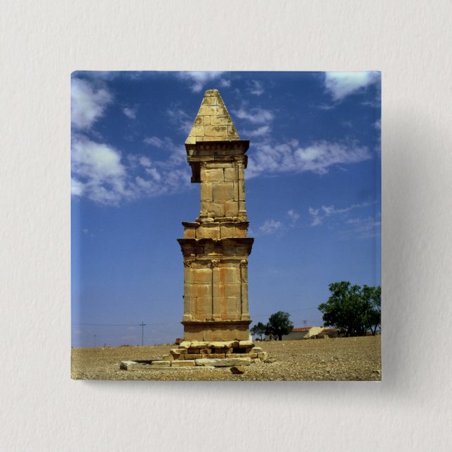 Punic War Monument, 3rd-2nd century BC Pinback Button (Front)