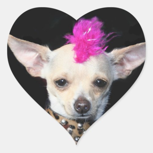 Punk Chihuahua Stickers