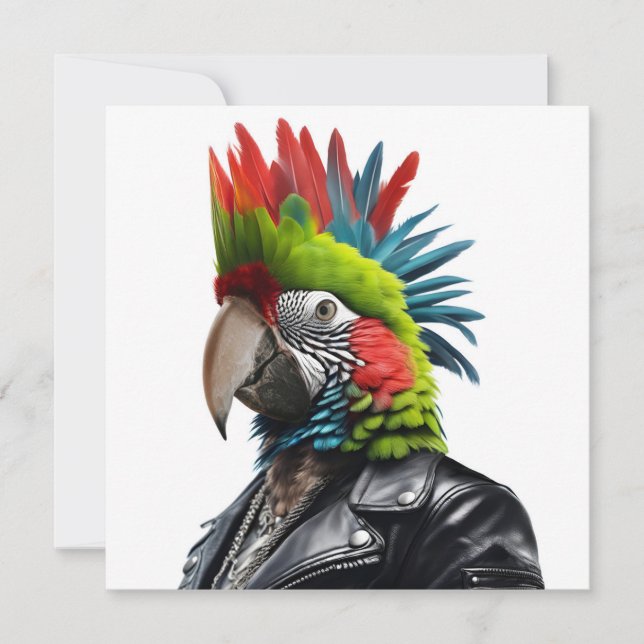 Punk Parrot (Front)
