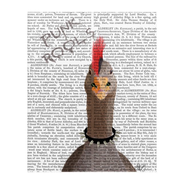 Punk Rock Goose Acrylic Print (Front)