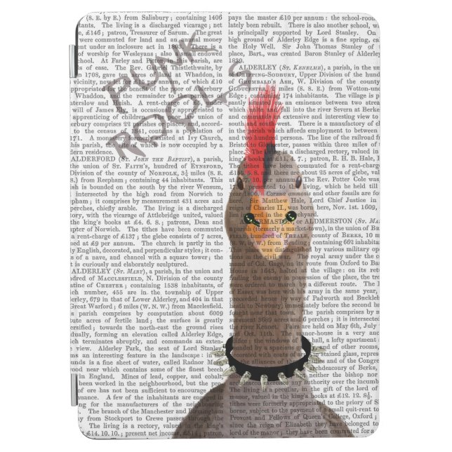 Punk Rock Goose iPad Air Cover (Front)