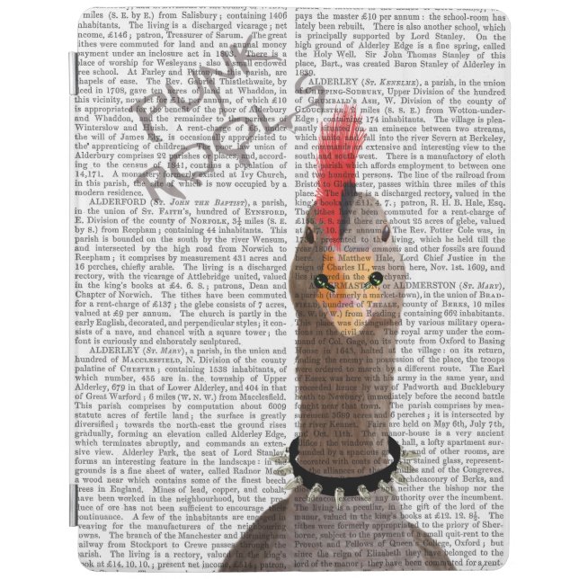 Punk Rock Goose iPad Air Cover (Front)